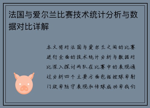 法国与爱尔兰比赛技术统计分析与数据对比详解